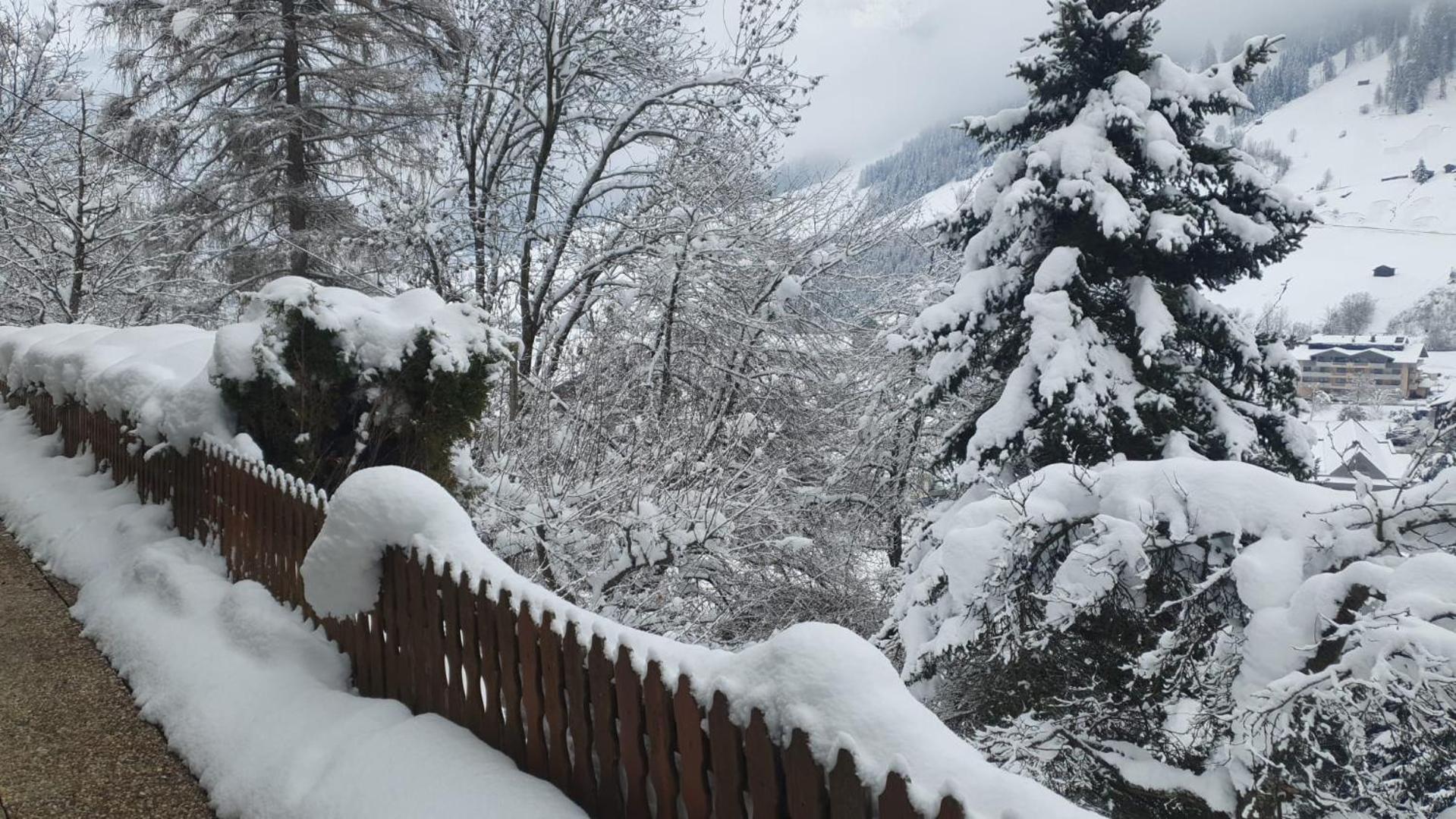 Pension Terra Neustift im Stubaital Eksteriør billede